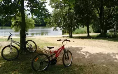 Galeria Podstrony Kąpieliska 141 6
